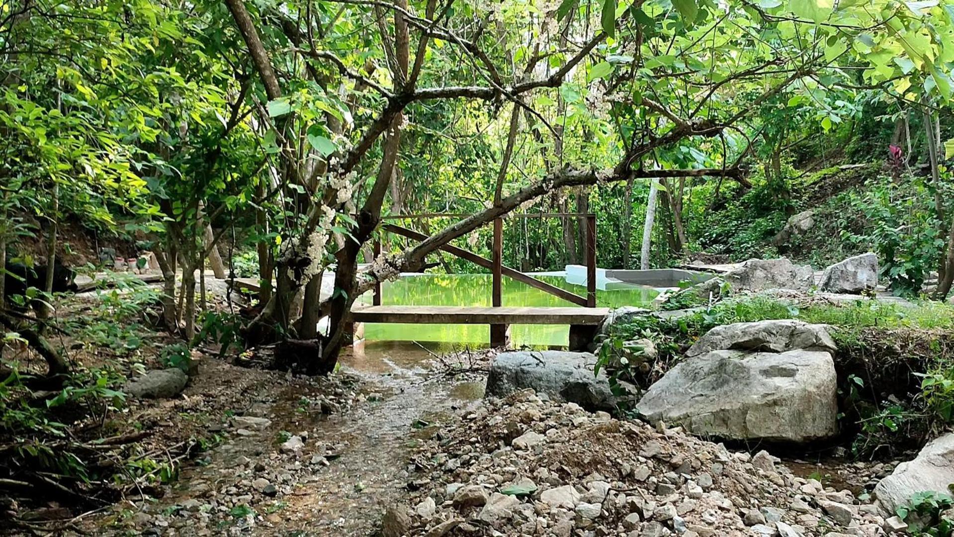 Yoo'nashi - Reserva Ecologica Y Experiencias Comunitarias Santa María Huatulco