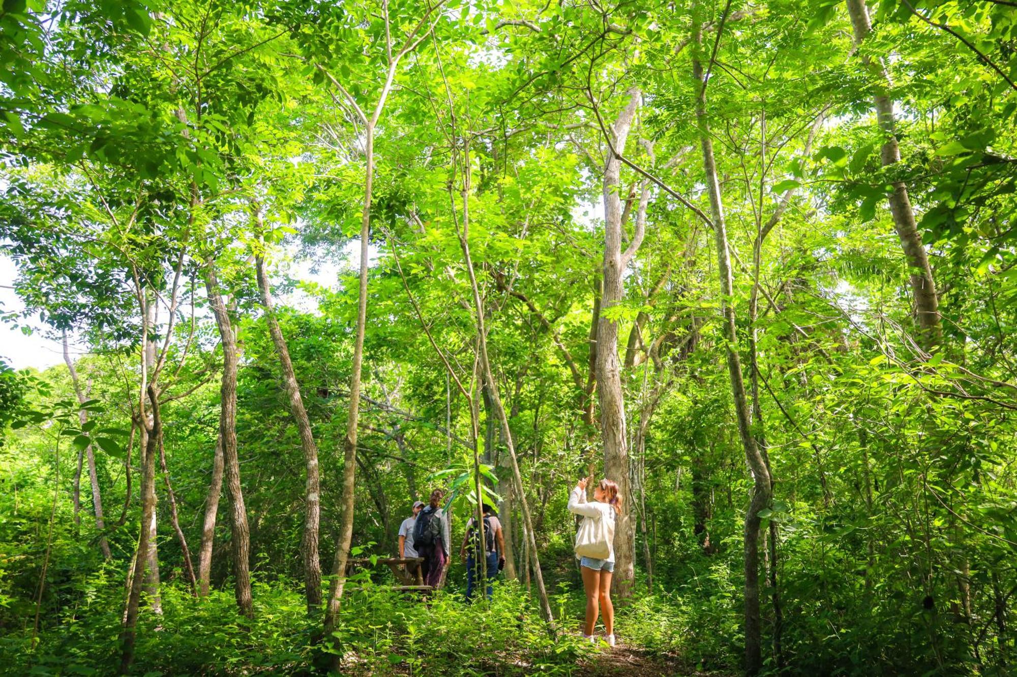 Chalet Yoo'nashi - Reserva Ecologica Y Experiencias Comunitarias Santa María Huatulco